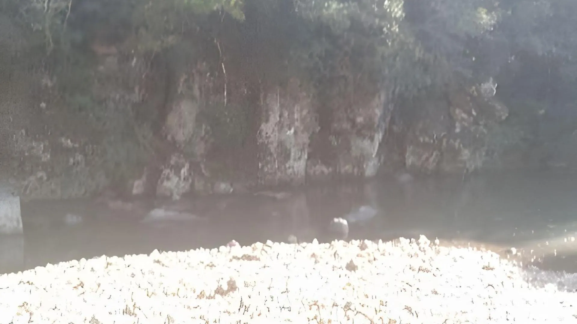 Parque de Campismo Casa De Campo Com Deck E Vista Para As Montanhas São Joaquim