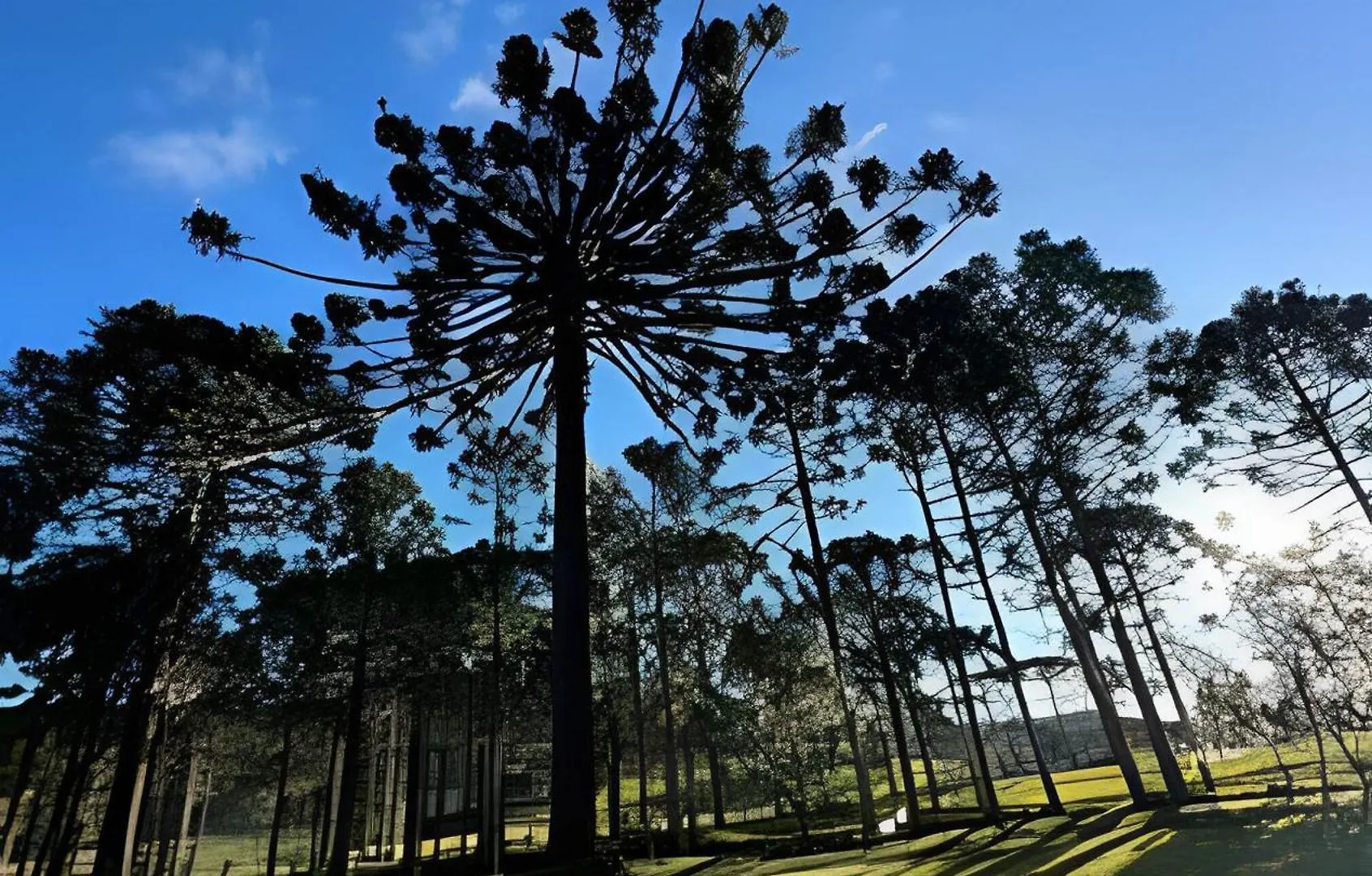 Casa De Campo Com Deck E Vista Para As Montanhas São Joaquim 0*,