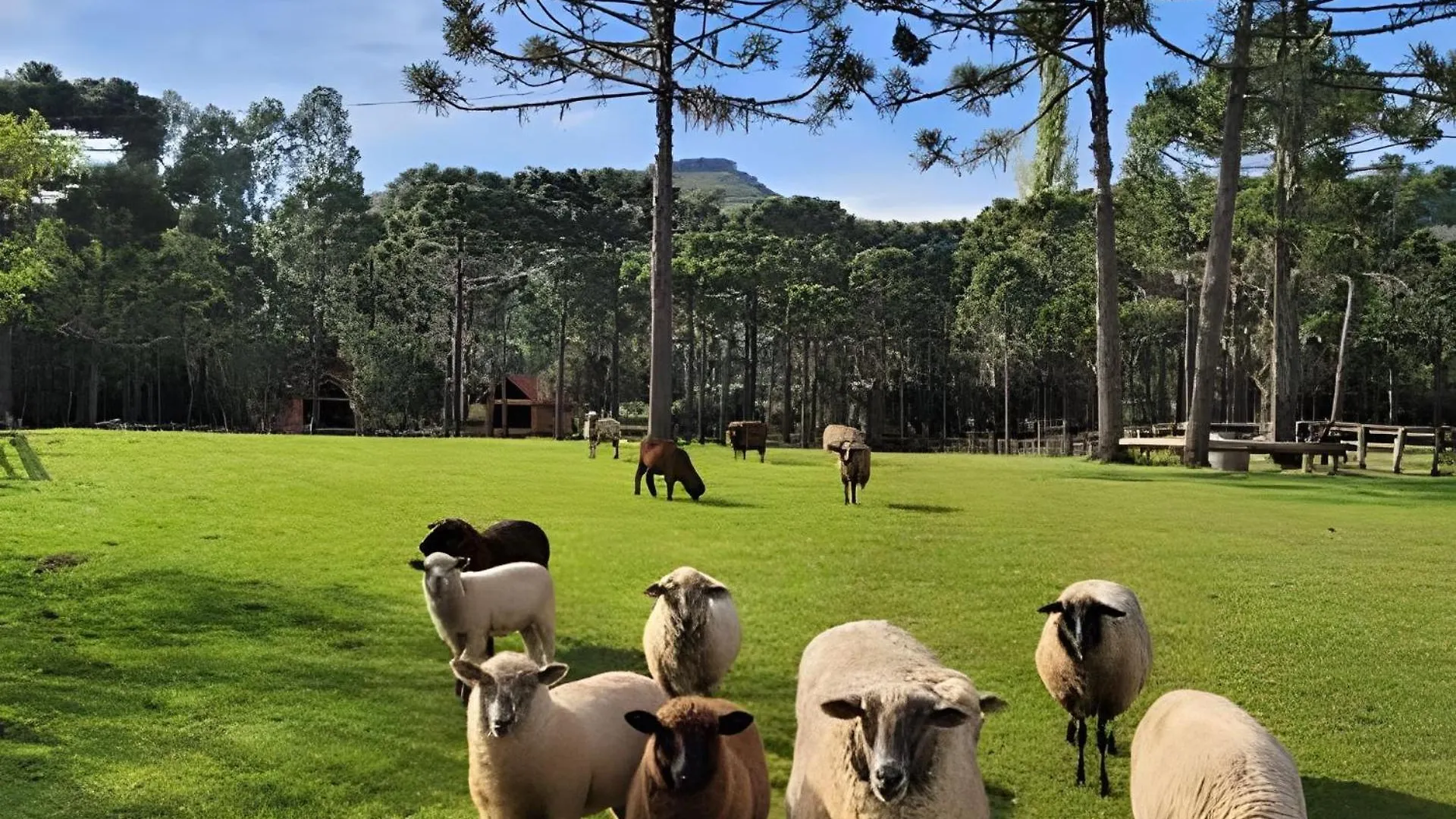 Casa De Campo Com Deck E Vista Para As Montanhas São Joaquim Parque de Campismo